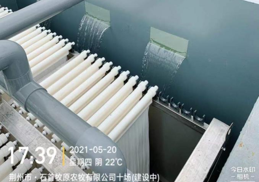 微信图片_20221104103830.jpeg